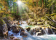 Пазли Castorland 2000 елементів "Лісовий струмок" (C-200382), фото 2