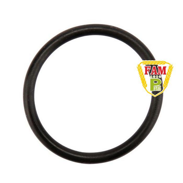 Кільце 24х2.5 - N, 238353 Claas