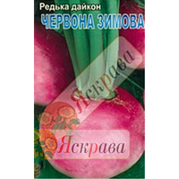 Дайкон круглий Червоний 2г