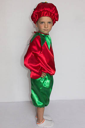 Карнавальний костюм Помідора на ранок для хлопчика 3-6 років, фото 2