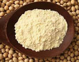 Ізолят соєвого білку 90%, соєвий протеїн (Linyi ShanSong, Китай), фото 5