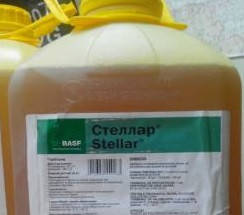 Гербіцид Стелар, зокрема, 10 л BASF AG