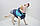 Жилет для собаки Тріо синій 21х27 см, фото 4