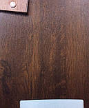 Вхідні двері в приватний будинок БЕЗПЛАТНА ДОСТАВКА, фото 4