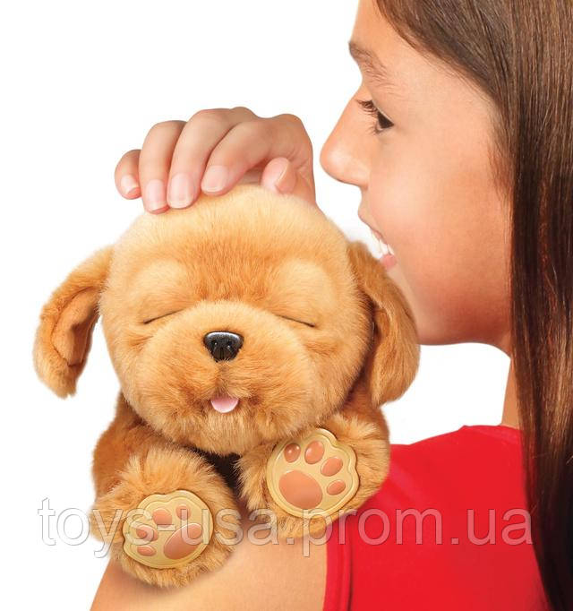 Little live hotsell pets sleepy puppy