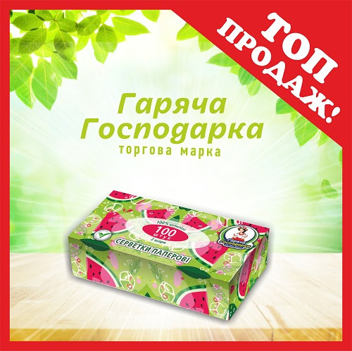 Серветки гігієнічні двошарові у коробці 100  шт ТМ Гаряча Господарка