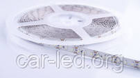 Белая 8,4W (24VDC) SMD3528 (120 LED/м) 7120-7550K IP64 Rishang Premium - фото 2 - id-p376125009