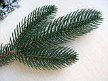 Хвоя зелена, гілка ялини, фото 3