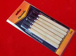 Набір різців для дерева, 6 шт. SPARTA 246065