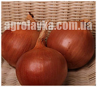 Насіння цибулі Флагман F1 (250000семян) Libra Seeds, фото 1