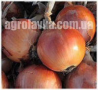 Насіння цибулі Хайденс F1 (250000семян) Libra Seeds