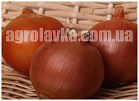 Насіння цибулі сортового Легасі (250000семян) Libra Seeds, фото 1