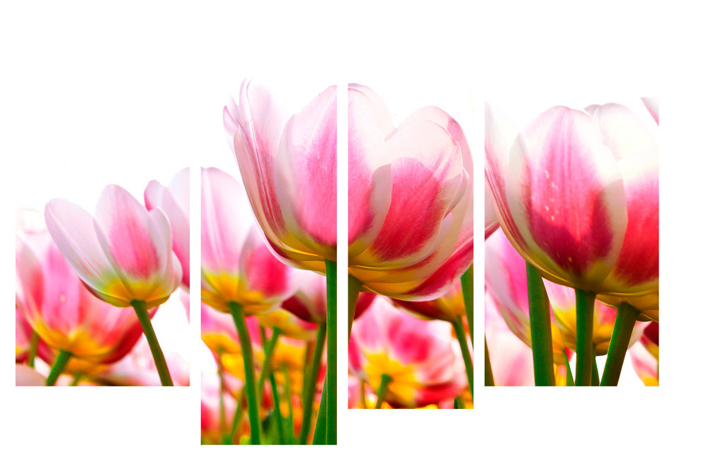 Модульна картина на полотні на стіну для інтер`єру/спальні/прихожої DK Тюльпани 112х75 см (M4-c751)