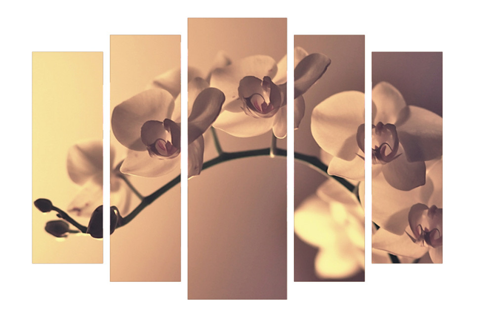 Модульна картина на полотні на стіну для інтер`єру/спальні/прихожої DK Орхідея 108х80 см (M5-75)