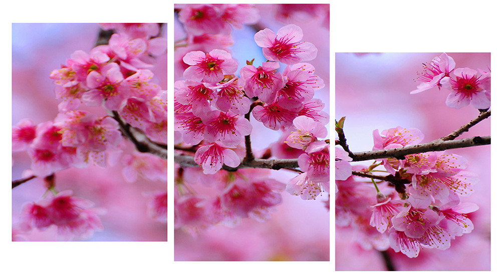 Модульна картина на полотні на стіну для інтер`єру/спальні/прихожої DK Цвітіння дерева 100х53 см (M3-t162)