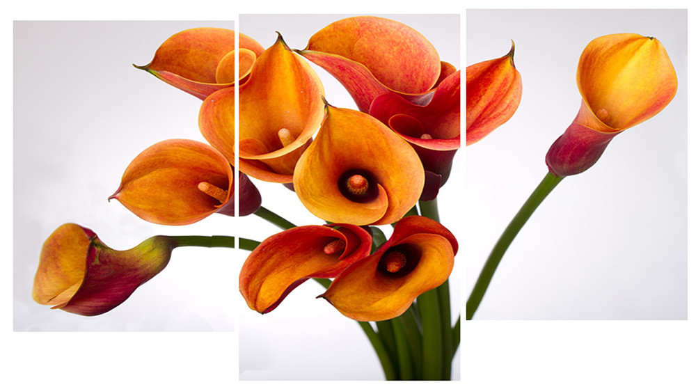 Модульна картина на полотні на стіну для інтер`єру/спальні/прихожої DK Букет калл 100х53 см (M3-t104)