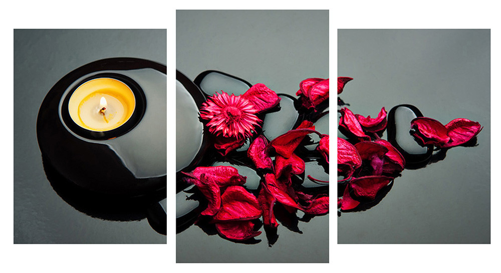 Модульна картина на полотні на стіну для інтер`єру/спальні/прихожої DK Гармонія 100х53 см (M3-t139)