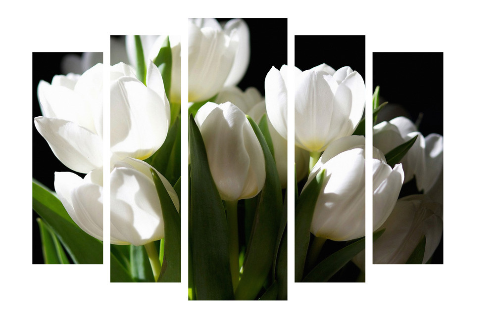 Модульна картина на полотні на стіну для інтер`єру/спальні/прихожої DK Білі тюльпани 108х80 см (M5-274)