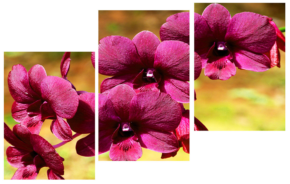 Модульна картина на полотні на стіну для інтер`єру/спальні/прихожої DK Квіточки 100х53 см (M3-t16)