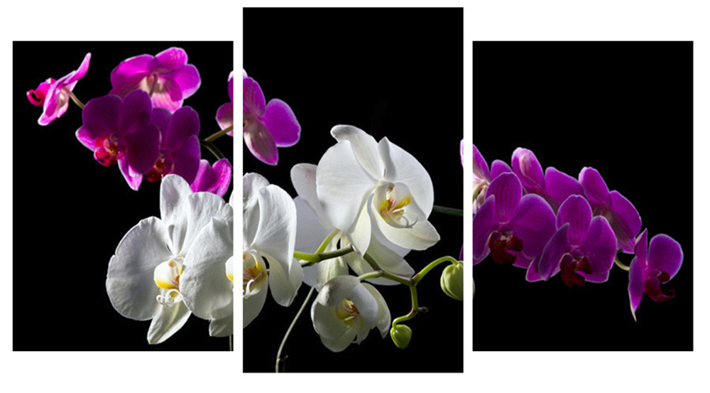 Модульна картина на полотні на стіну для інтер`єру/спальні/прихожої DK Орхідеї на чорному 100х53 см (M3-t20), фото 1