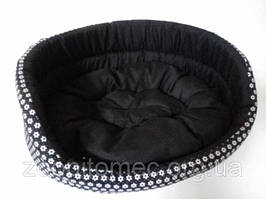 Лежаки Польща