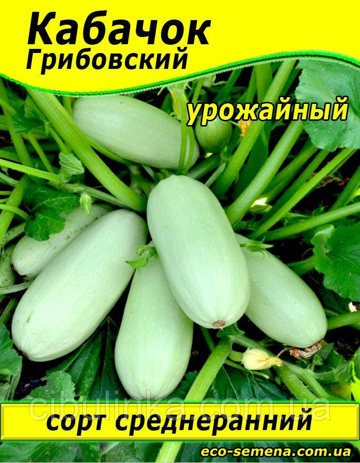 Насіння Кабачок Грибівське / 1 кг
