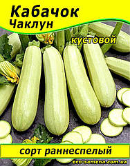Насіння Кабачок Чаклюн/1 кг