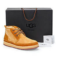 Натуральні чоловічі зимові черевики UGG Australia (David Beckham) 41,42 розмір у наявності.