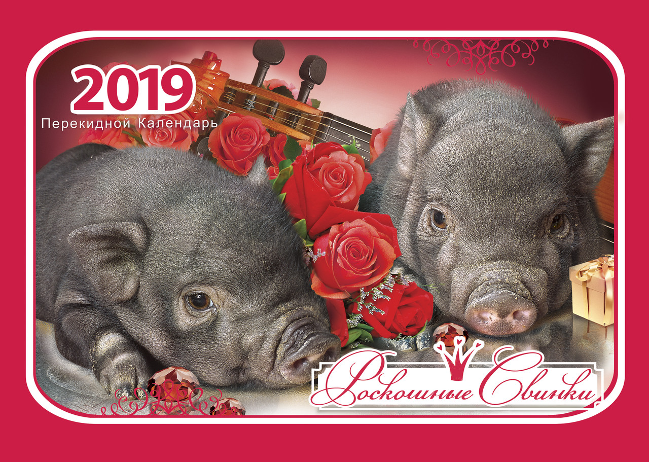 Календар настінний на 2019 р. "Розкішні свинки", фото 1