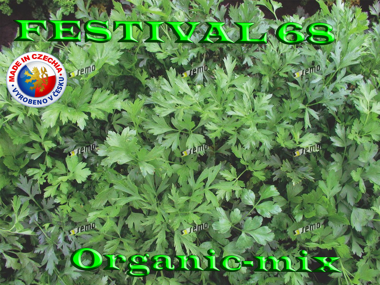 Насіння, Петрушка Фестиваль 68/FESTIVAL 68, проф. пакет 250 г, SEMO (Чехія), Імпорт 2025