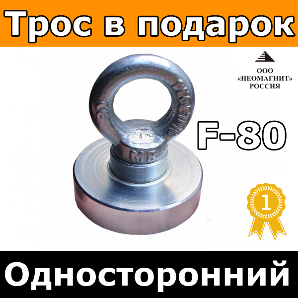 Пошуковий Неодимовий Магніт ⭐⭐⭐⭐⭐ F80 ТРИТОН купити в Україні односторонній недорого