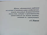 Денисенко С. Еротичні малюнки Пушкіна (б/у)., фото 8