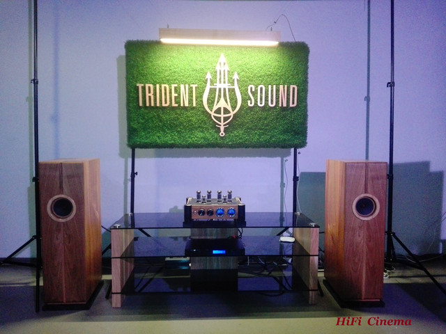 Trident Sound Maestro Simplicity Mark-II in VAPS-IX (1) Trident Sound Maestro Simplicity Mark-II in VAPS-IX (1)