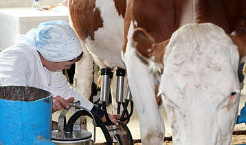 Доїльний апарат – запорука високої якості молока