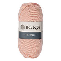 Пряжа Kartopu Elite Wool К1873 -