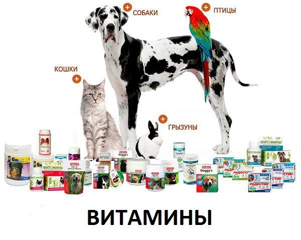 Купить комплексные витамины для шерсти собак и котов