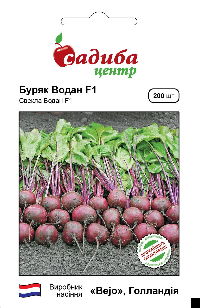 Бурякла Водан F1 200 насіння Bejo, фото 1