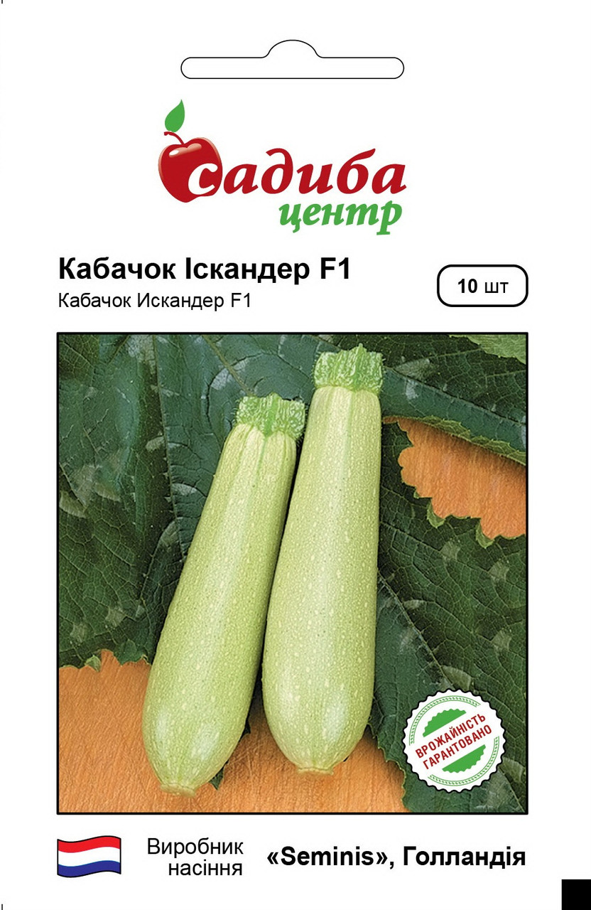 Кабачок Искандер F1 5 шт СЦ Seminis, фото 1