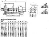 Насос 2СМ 250-200-400а/6, фото 6