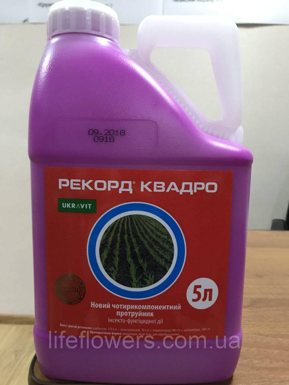 Протруйник Рекорд Квадро