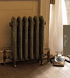 Радіатор чавунний дизайнерський CARRON Daisy 780, фото 2