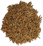 Зіра (Кумін) насіння, Індія, 1 кг