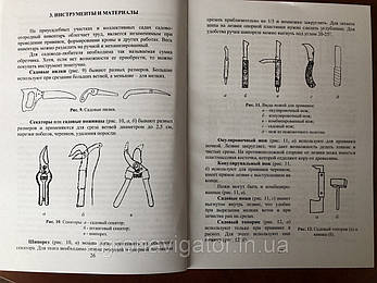 Приваблення плодових і декоративних порід, фото 4
