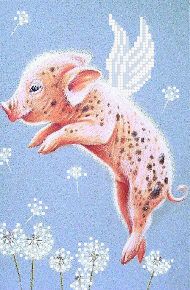  Рб-5-28 Повітряний настрій 2