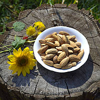 Мигдаль смажений в шкаралупі