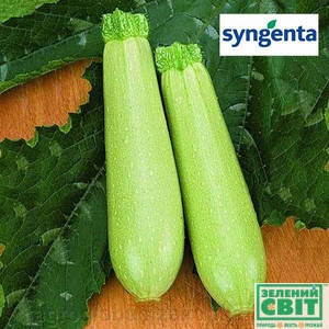 Ангеліна F1 насіння кабачка, 5 насіння — кабачок, ранній (40-43 дні) Syngenta, фото 3