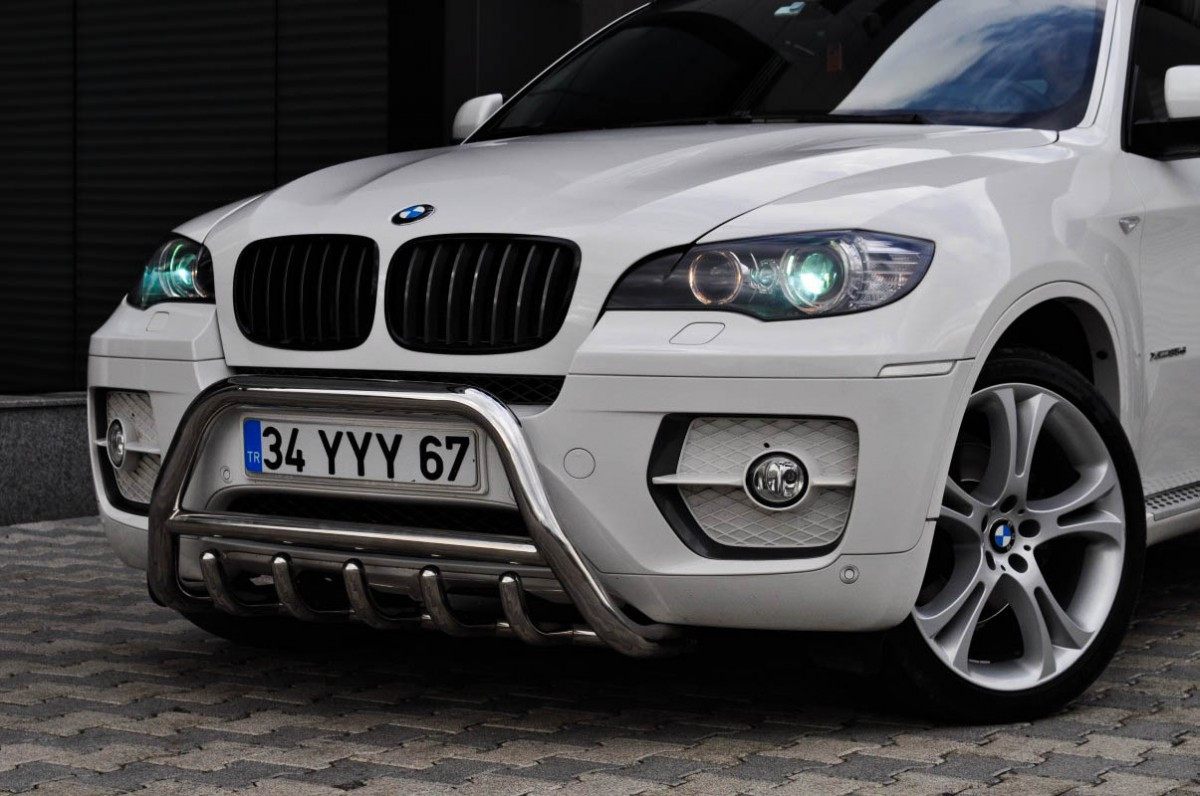 Кенгурятник (нерж.) - BMW X6 E-71 2008-2014 рр.