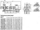 Насос 2СМ 150-125-315б/4, фото 5