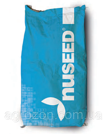 Соняшник Н4ХМ411 Nuseed, фото 2