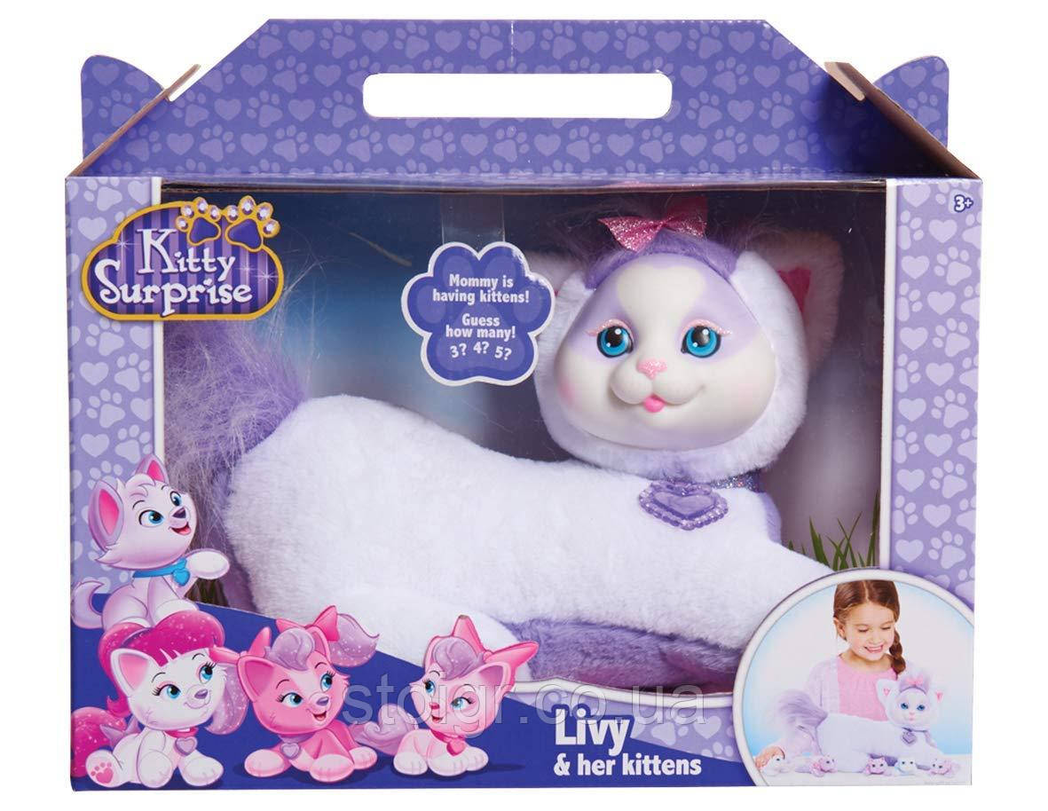 Kitty surprise sale livy